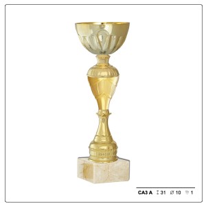 ca3