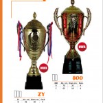 3-6 copia